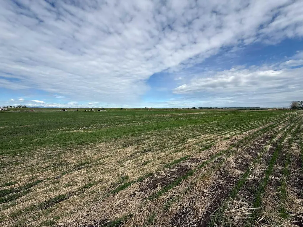 23.26 Acres Along 48 Street E Rural Foothills County AB T1V 1M3