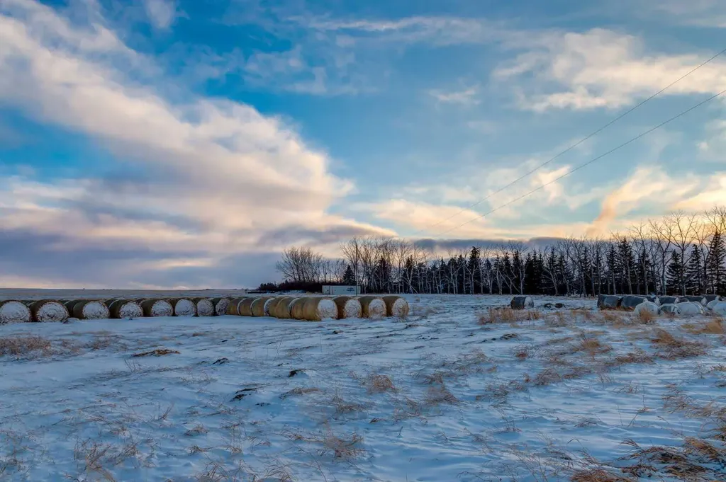 281141 Township Road 274 Rural Rocky View County AB T4A 2S3