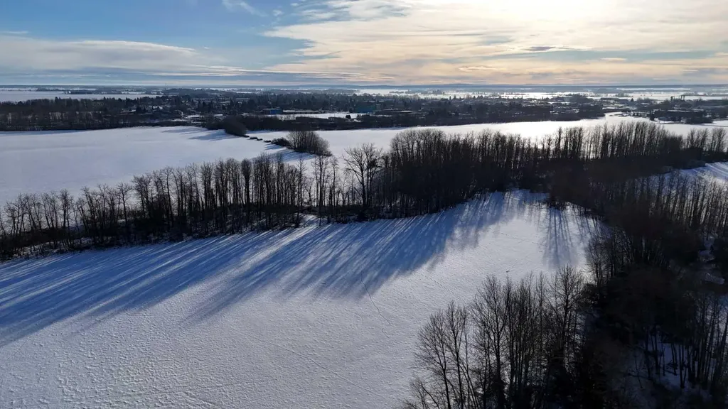 165.13 Acres Along Range Road 172 High Prairie AB T0G 1E0