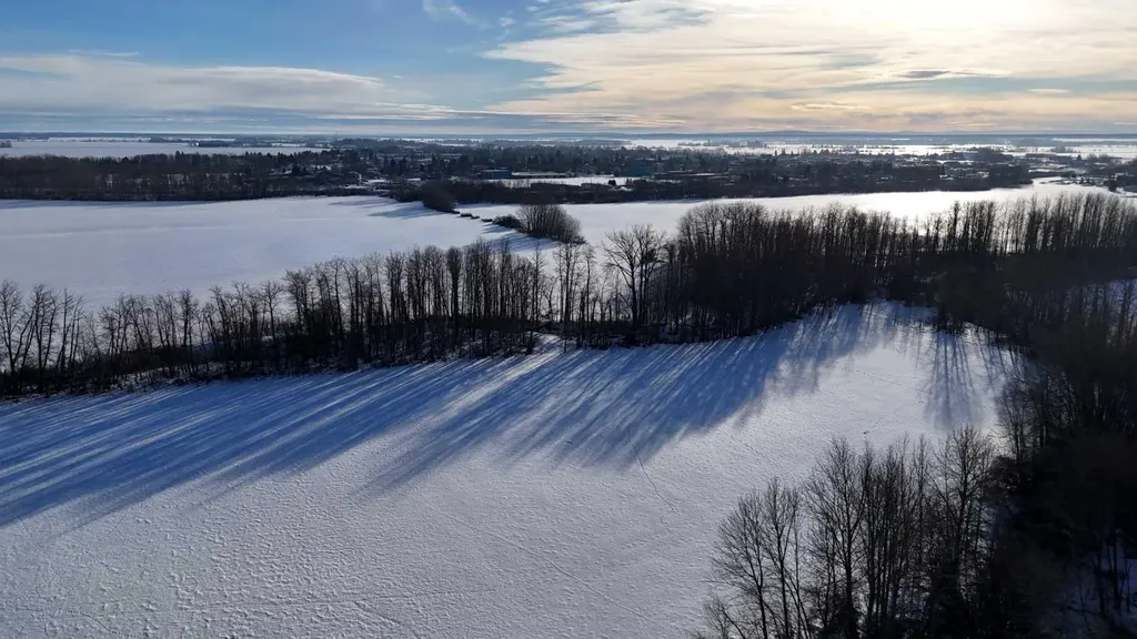 165.13 Acres Along Range Road 172 High Prairie AB T0G 1E0