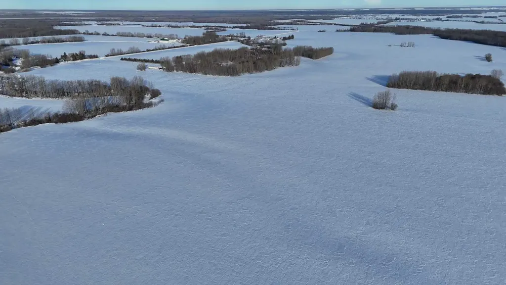 165.13 Acres Along Range Road 172 High Prairie AB T0G 1E0
