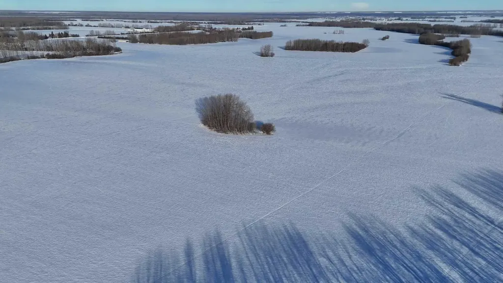 165.13 Acres Along Range Road 172 High Prairie AB T0G 1E0