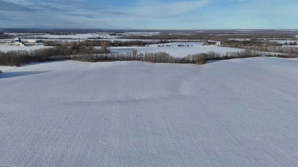 165.13 Acres Along Range Road 172 High Prairie AB T0G 1E0