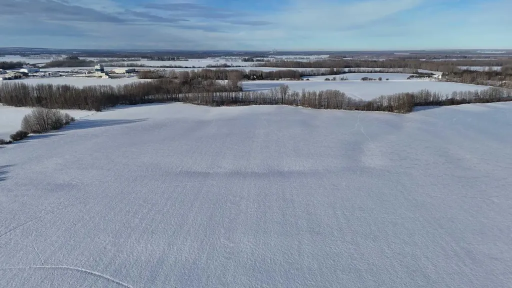 165.13 Acres Along Range Road 172 High Prairie AB T0G 1E0