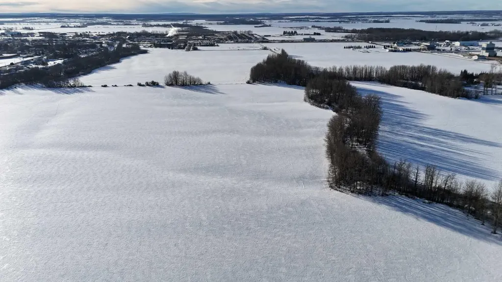 165.13 Acres Along Range Road 172 High Prairie AB T0G 1E0