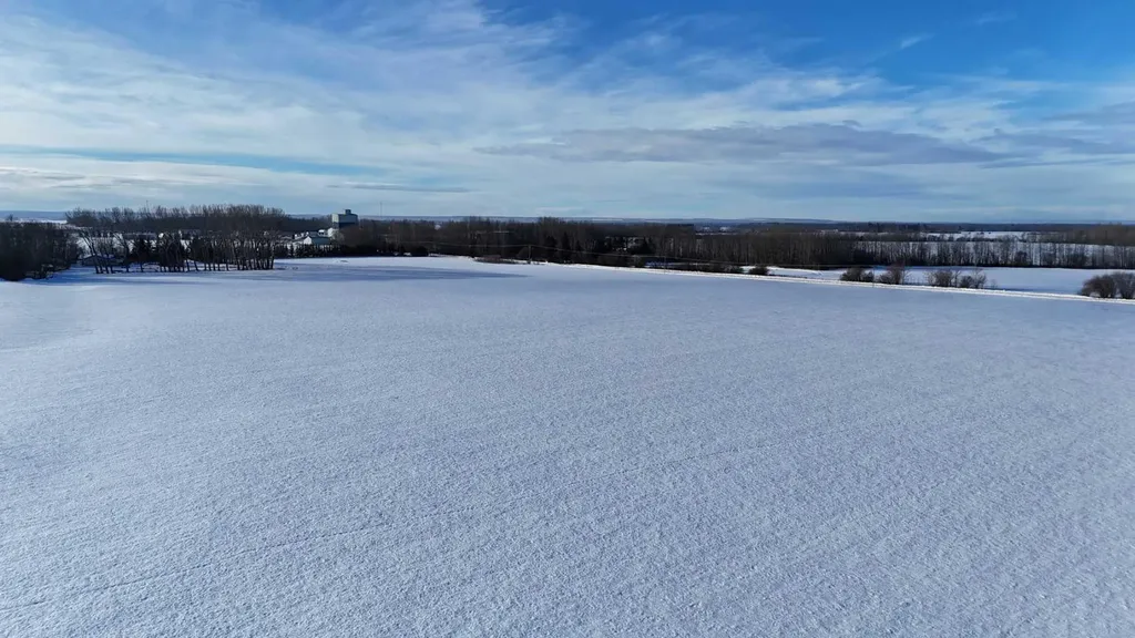 165.13 Acres Along Range Road 172 High Prairie AB T0G 1E0