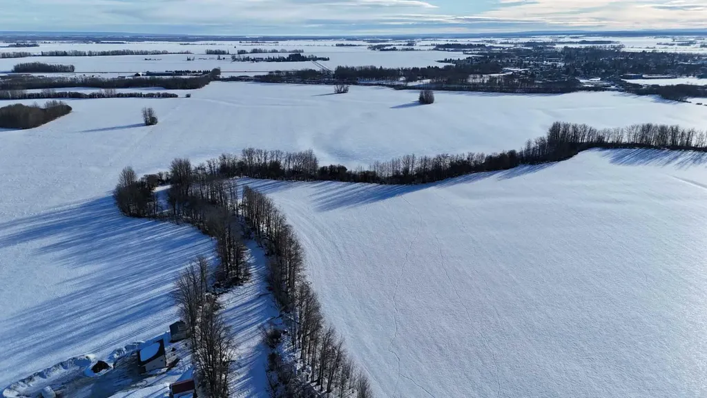 165.13 Acres Along Range Road 172 High Prairie AB T0G 1E0
