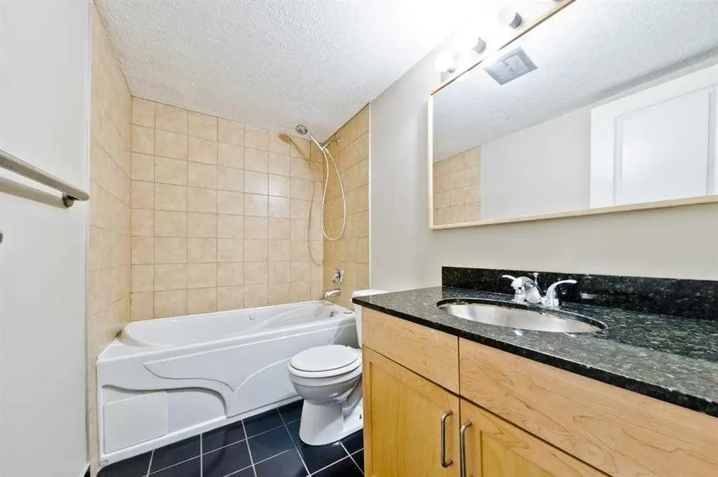 315 9a Street NW Calgary AB T2N 1T7