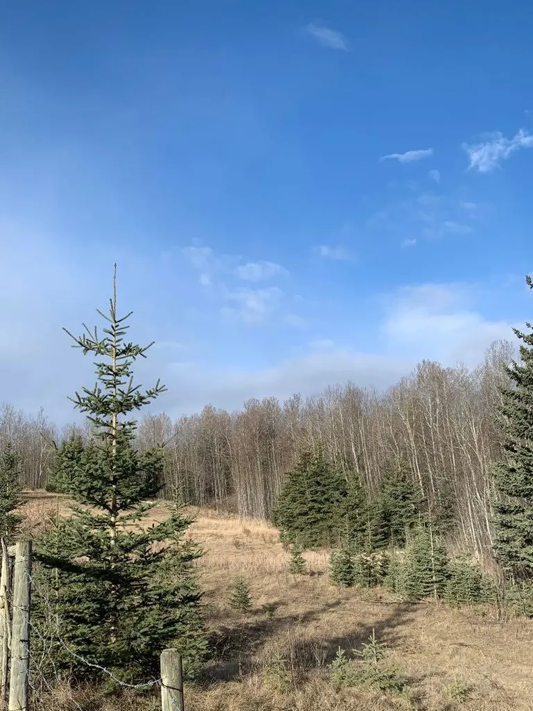 14520 Township Road 562 Rural Yellowhead County AB T7E 1P2
