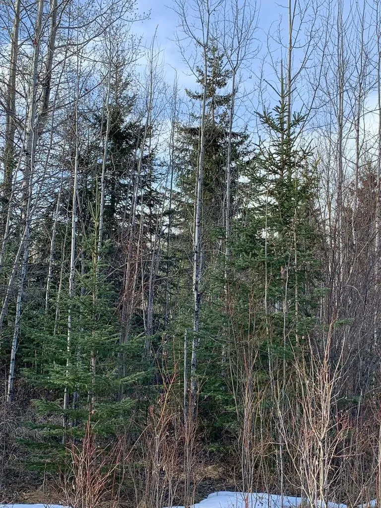 14520 Township Road 562 Rural Yellowhead County AB T7E 1P2