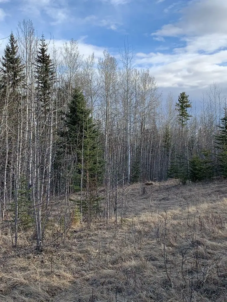 14520 Township Road 562 Rural Yellowhead County AB T7E 1P2
