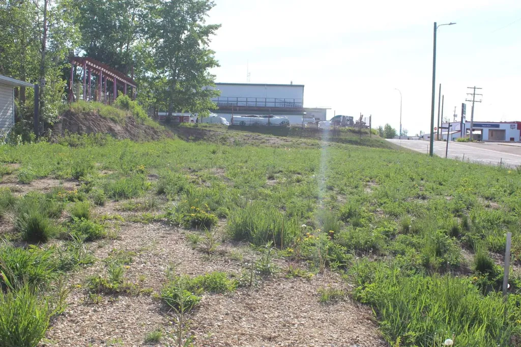 202 4th Avenue Manning AB T0H 2M0