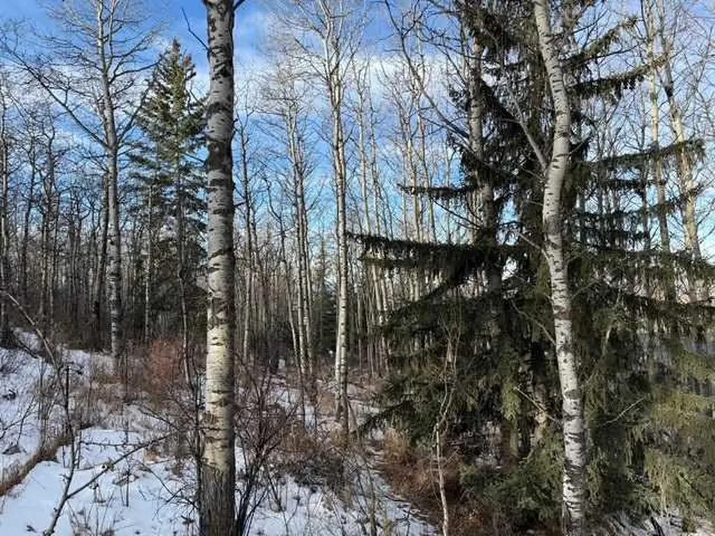 25151 Escarpment Ridge View Rural Rocky View County AB T3Z 3M7