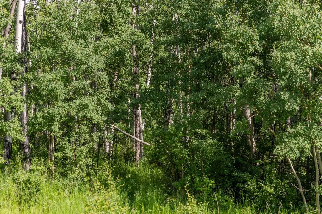 25151 Escarpment Ridge View Rural Rocky View County AB T3Z 3M7