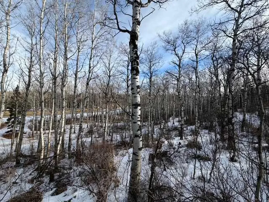 25151 Escarpment Ridge View Rural Rocky View County AB T3Z 3M7