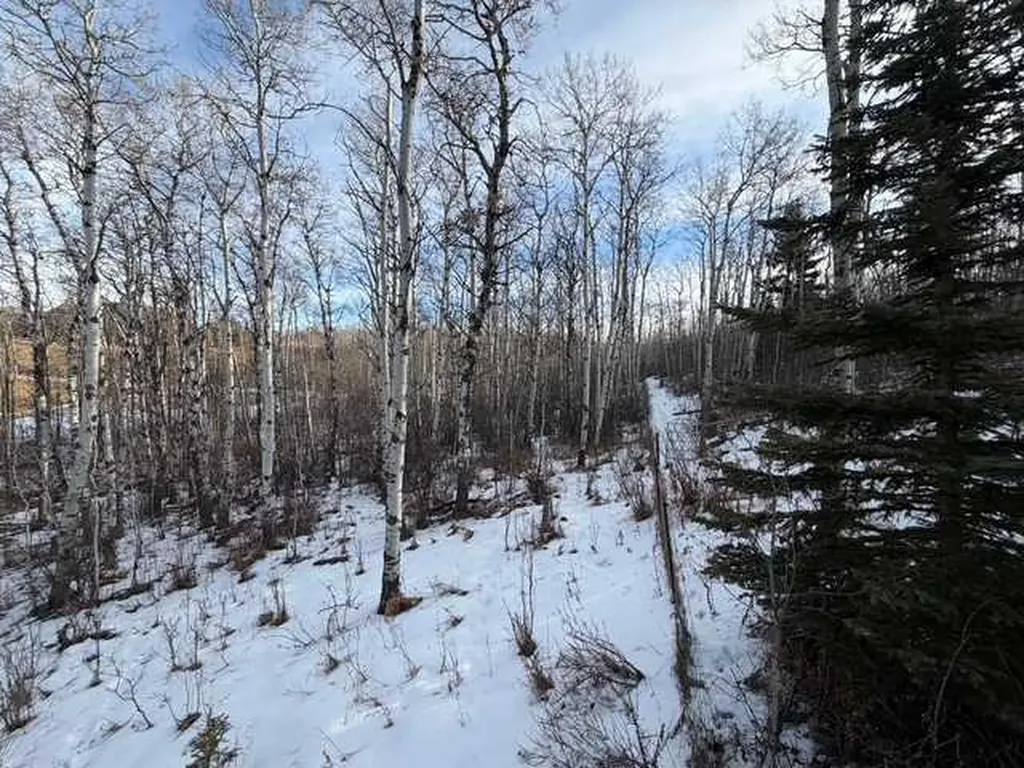 25151 Escarpment Ridge View Rural Rocky View County AB T3Z 3M7