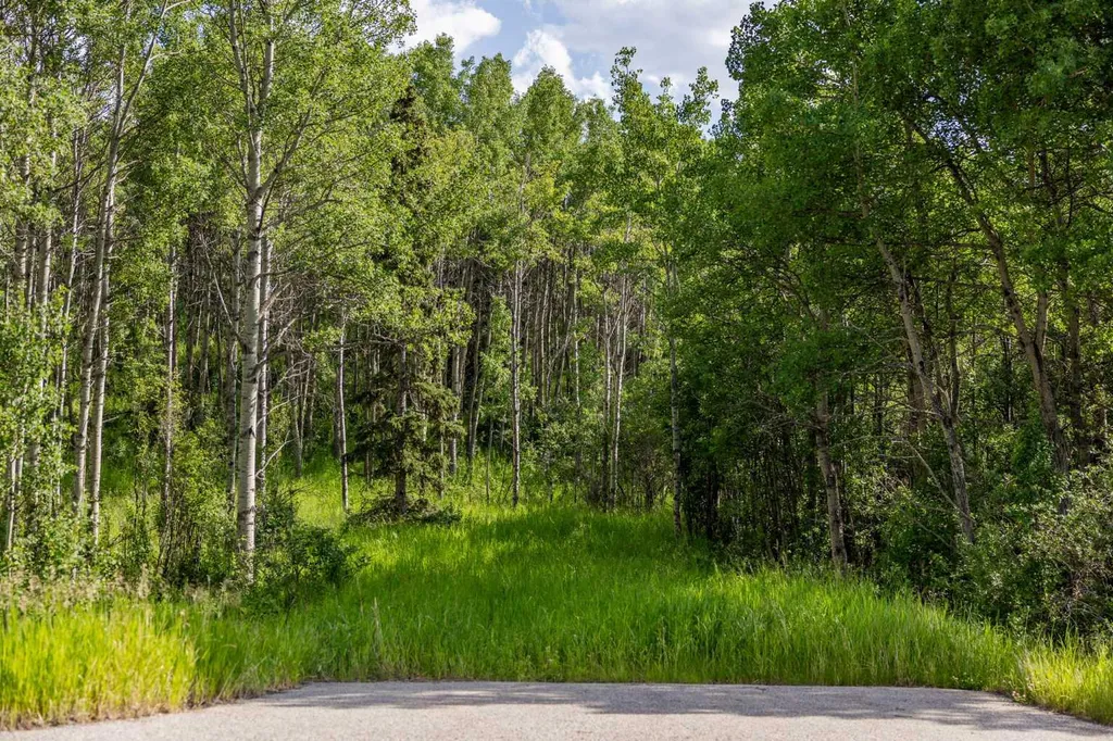 25151 Escarpment Ridge View Rural Rocky View County AB T3Z 3M7