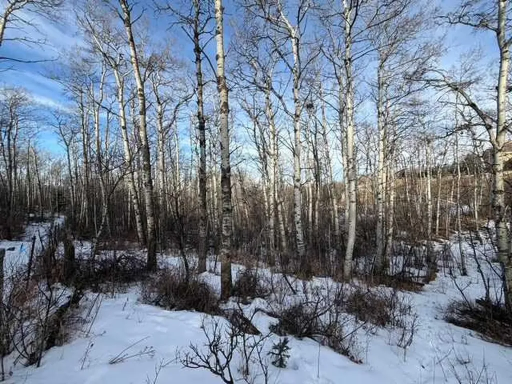 25151 Escarpment Ridge View Rural Rocky View County AB T3Z 3M7