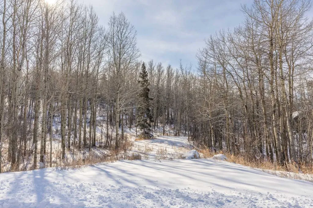 25151 Escarpment Ridge View Rural Rocky View County AB T3Z 3M7