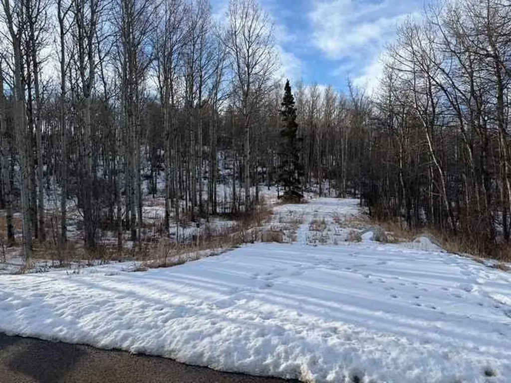 25151 Escarpment Ridge View Rural Rocky View County AB T3Z 3M7