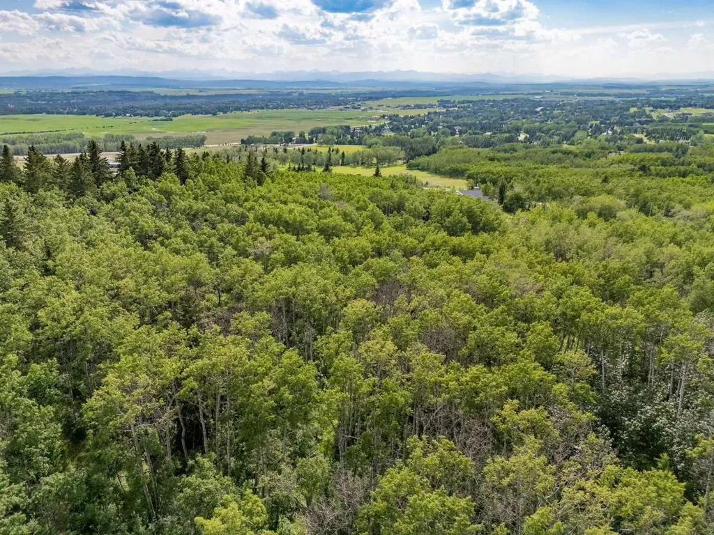 25151 Escarpment Ridge View Rural Rocky View County AB T3Z 3M7