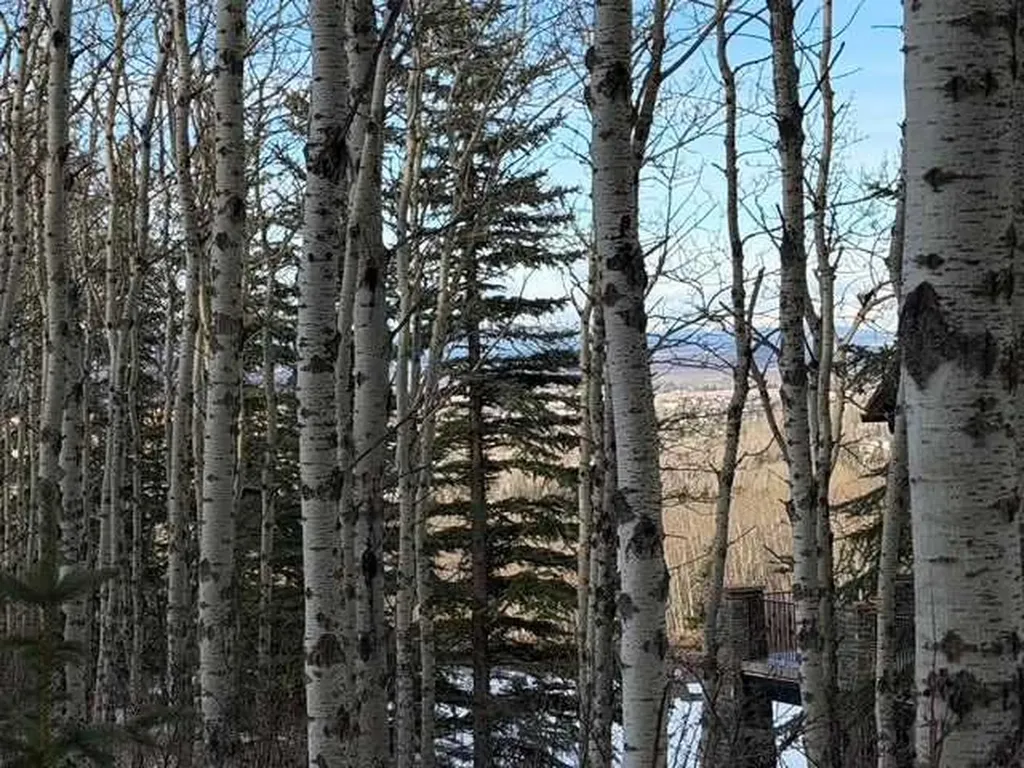 25151 Escarpment Ridge View Rural Rocky View County AB T3Z 3M7