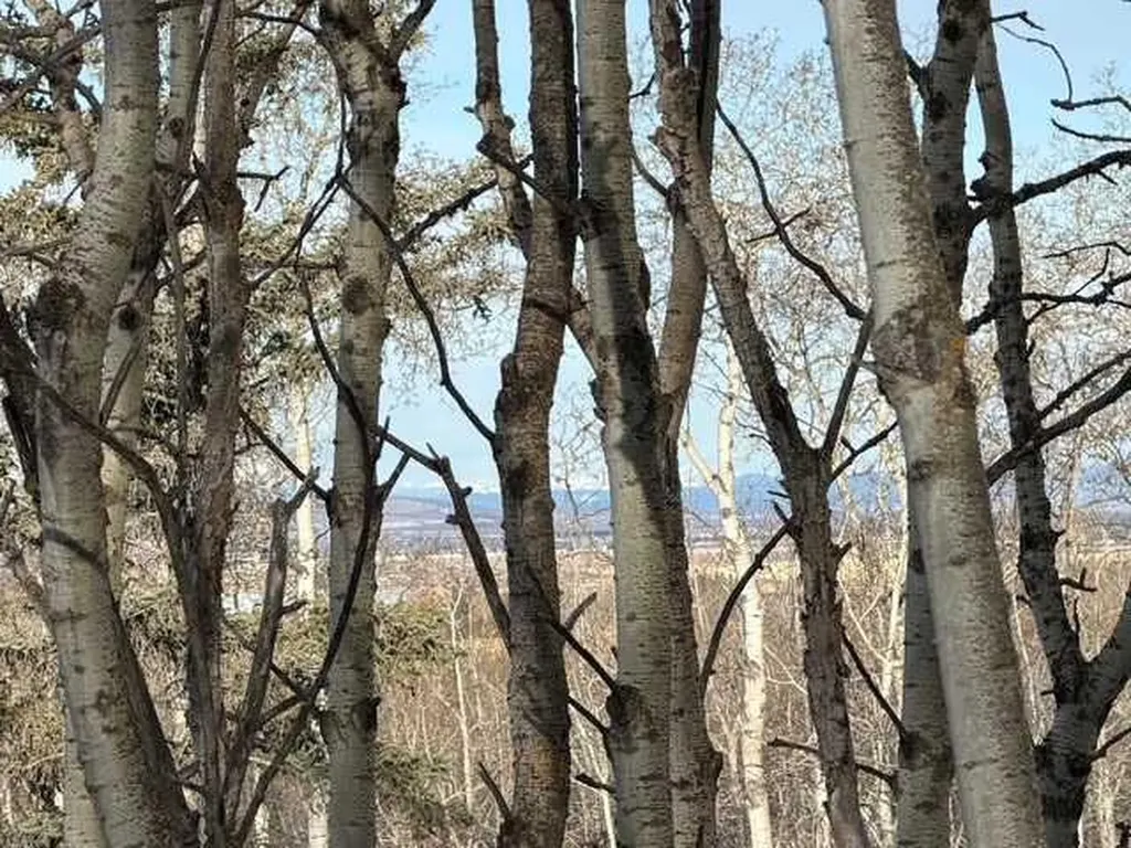 25151 Escarpment Ridge View Rural Rocky View County AB T3Z 3M7