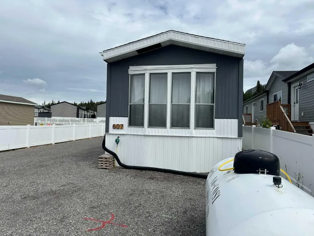607 Limestone Way Nordegg AB T0M2H0