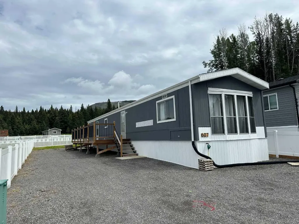 607 Limestone Way Nordegg AB T0M2H0