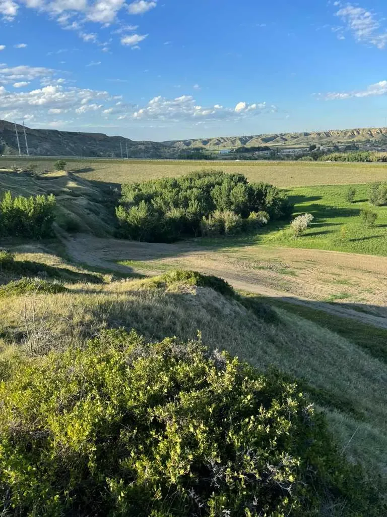 55,75,105,121,125 Bridge Drive W Lethbridge AB T1J 4S5