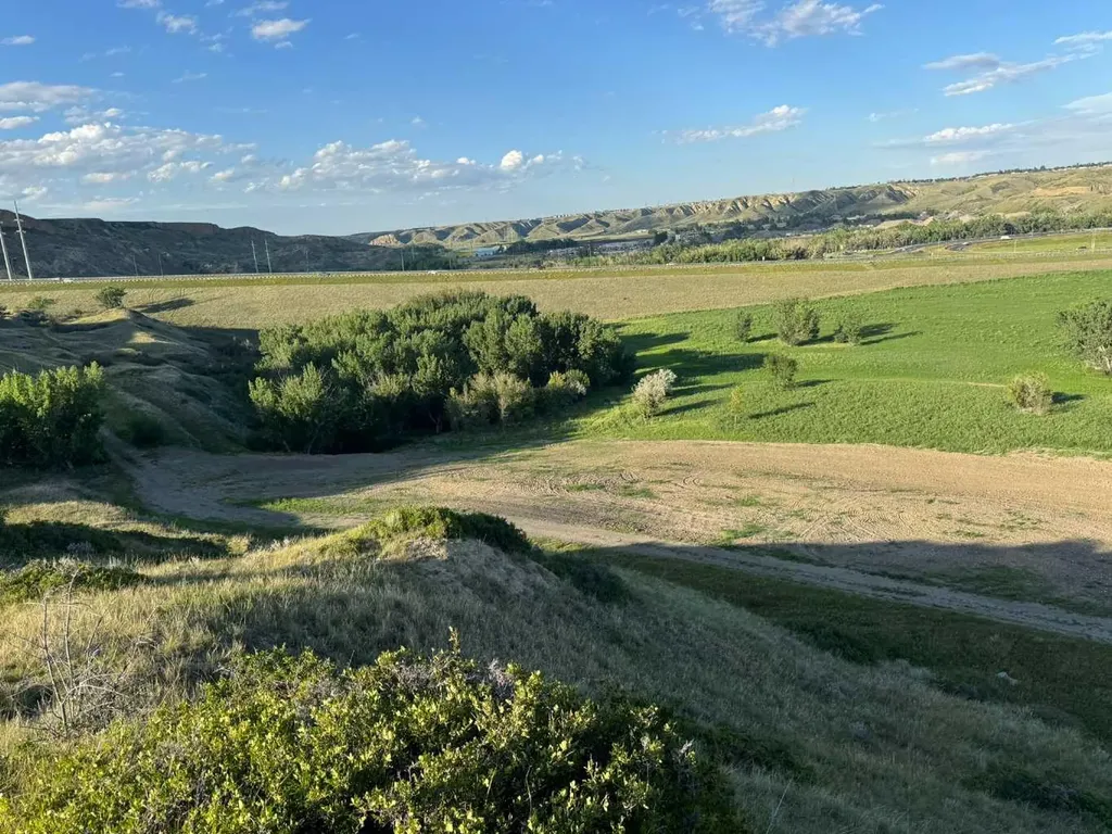 55,75,105,121,125 Bridge Drive W Lethbridge AB T1J 4S5