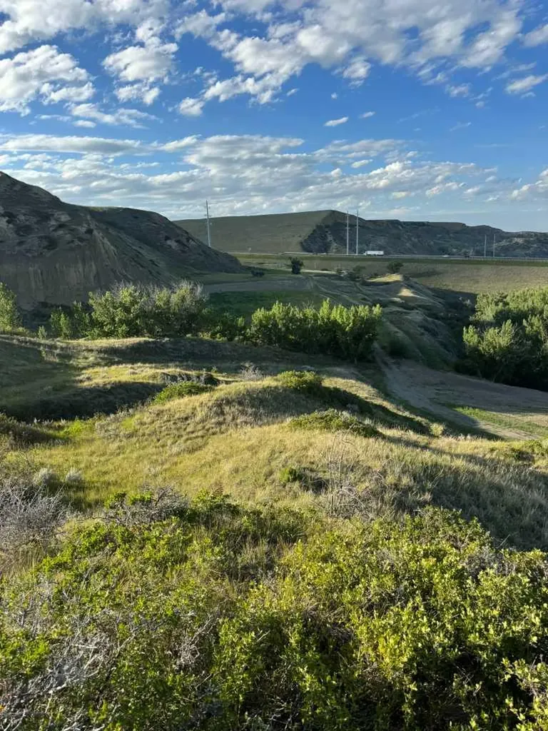 55,75,105,121,125 Bridge Drive W Lethbridge AB T1J 4S5