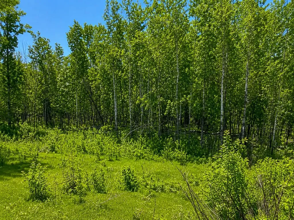 26 50220 204 Range Rural Beaver County AB T0B 4A0