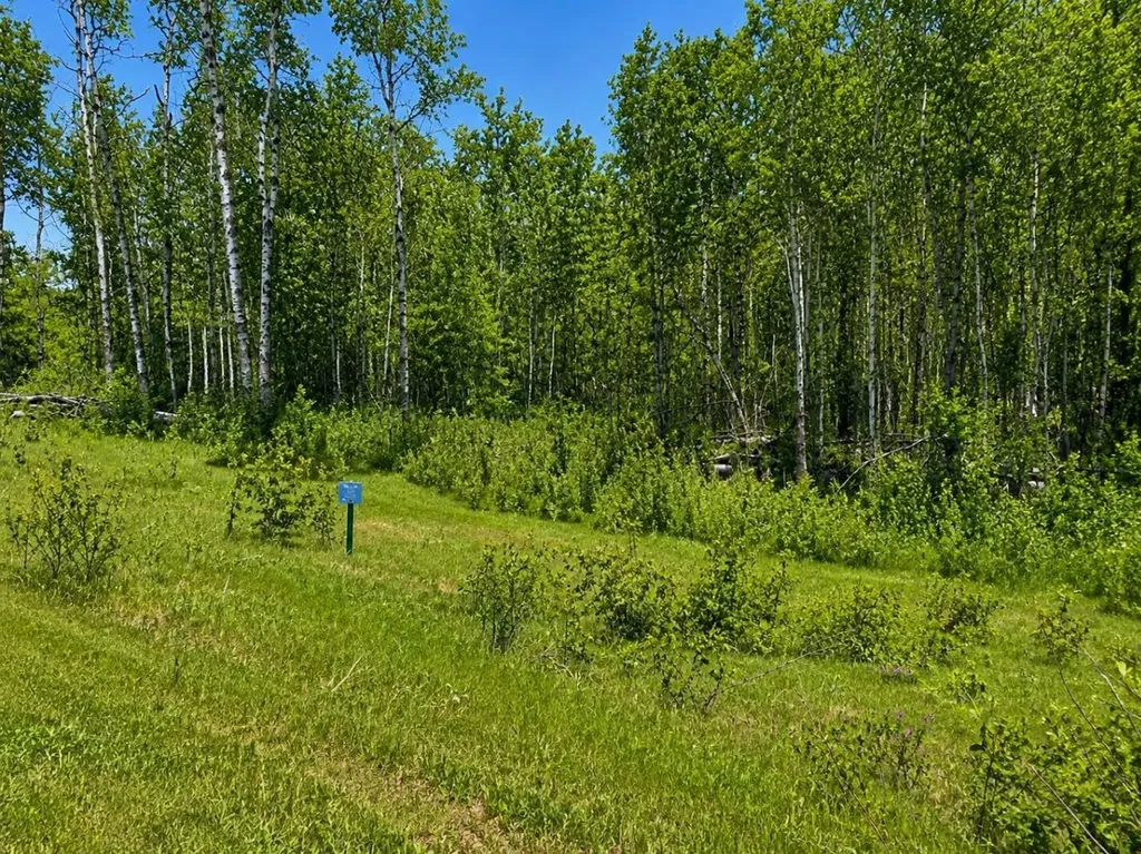 26 50220 204 Range Rural Beaver County AB T0B 4A0