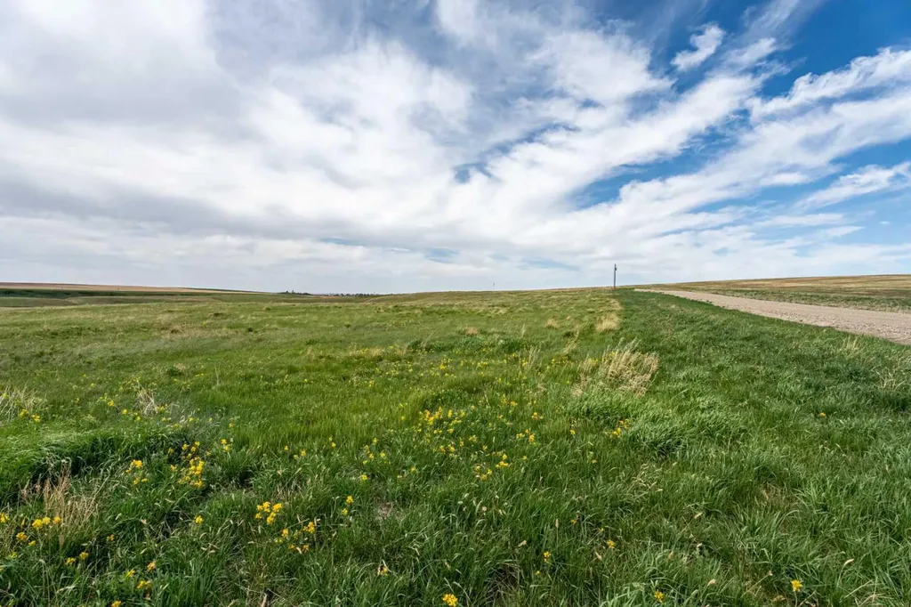 Tbd Township Road 204 Rural Vulcan County AB T0L 0B0