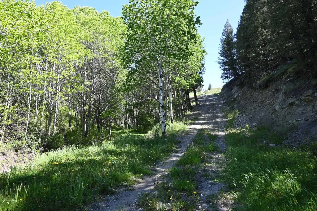 8416 Rge Road 1-3 Rural Pincher Creek No. 9 M.d. Of AB T0K 0P0