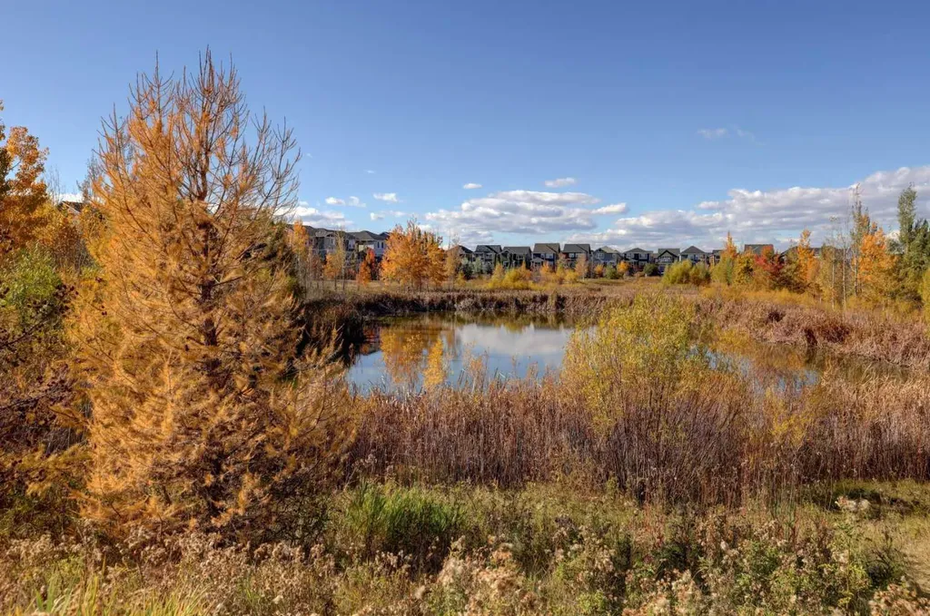 100 Auburn Meadows Common SE Calgary AB T3M 2X7