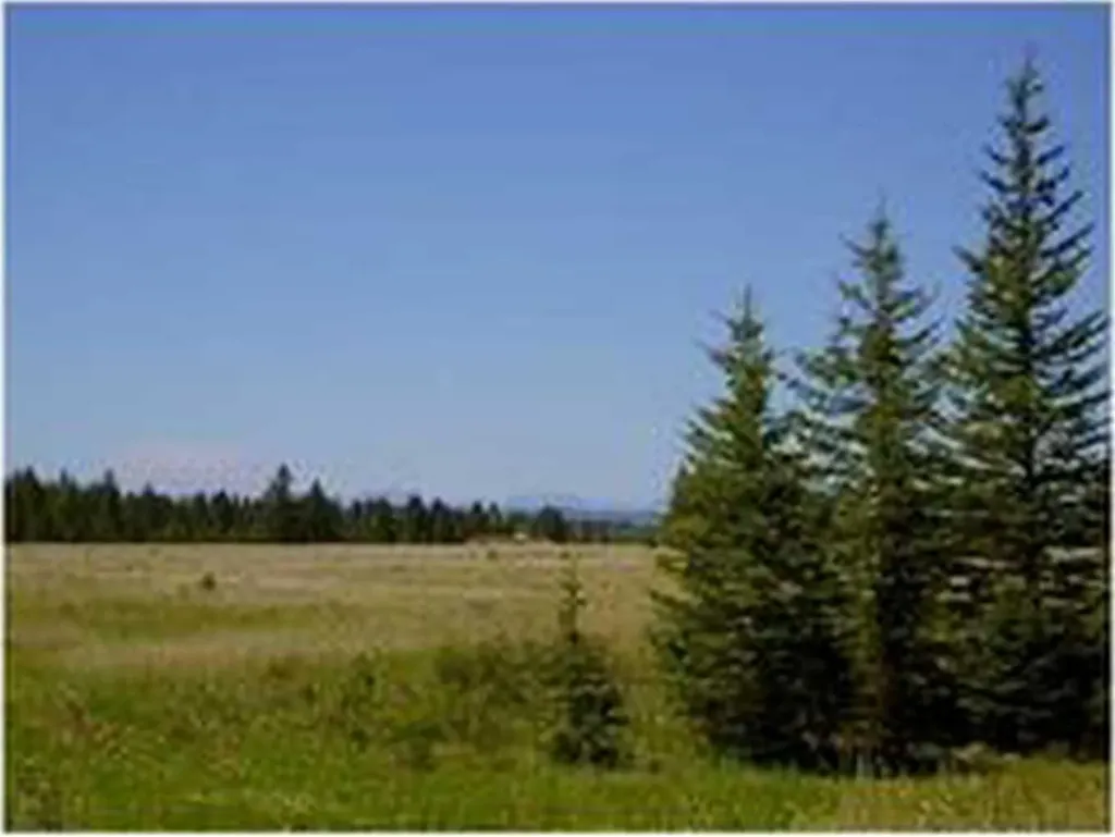 Range Road 55 Rural Mountain View County AB T0G 1X0