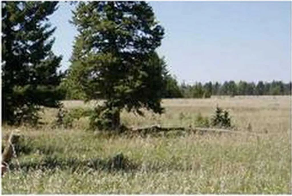 Range Road 55 Rural Mountain View County AB T0G 1X0