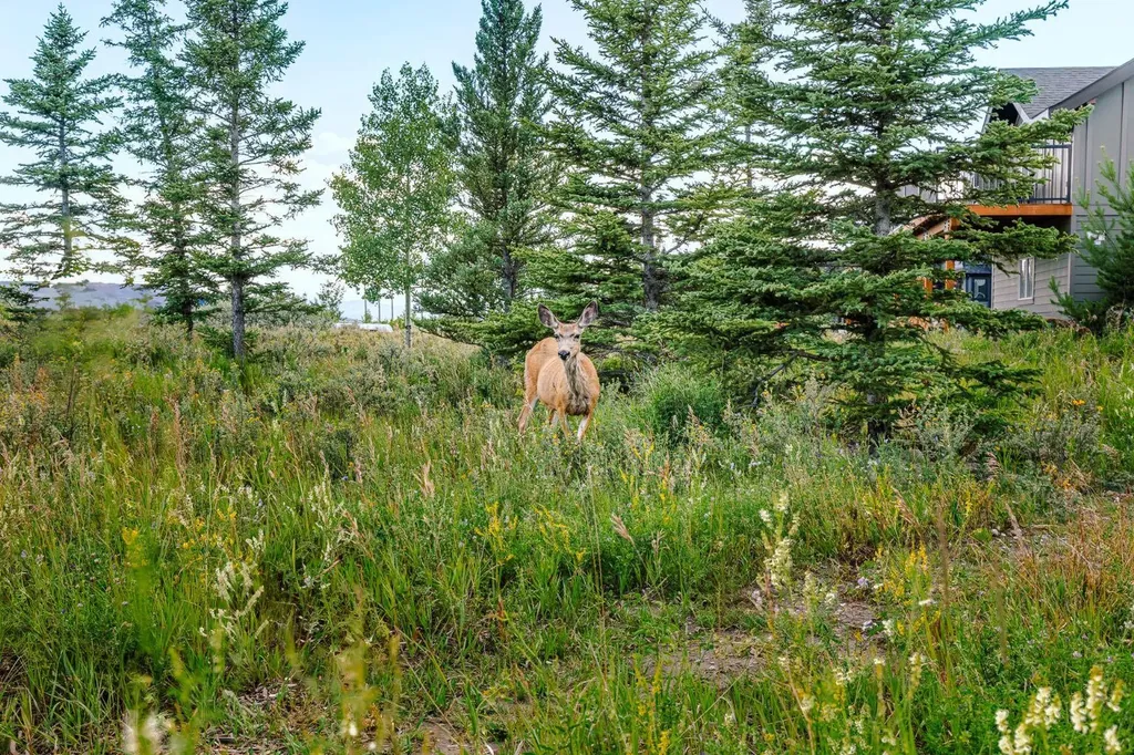 407 Cottageclub Grove Rural Rocky View County AB T4C1B1