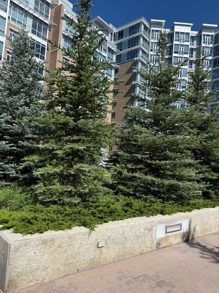 16 Varsity Estates Circle NW Calgary AB T3A1W9