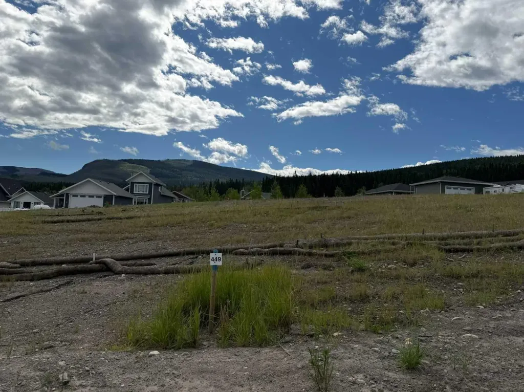 449 Lily Avenue Nordegg AB T0M 2H0