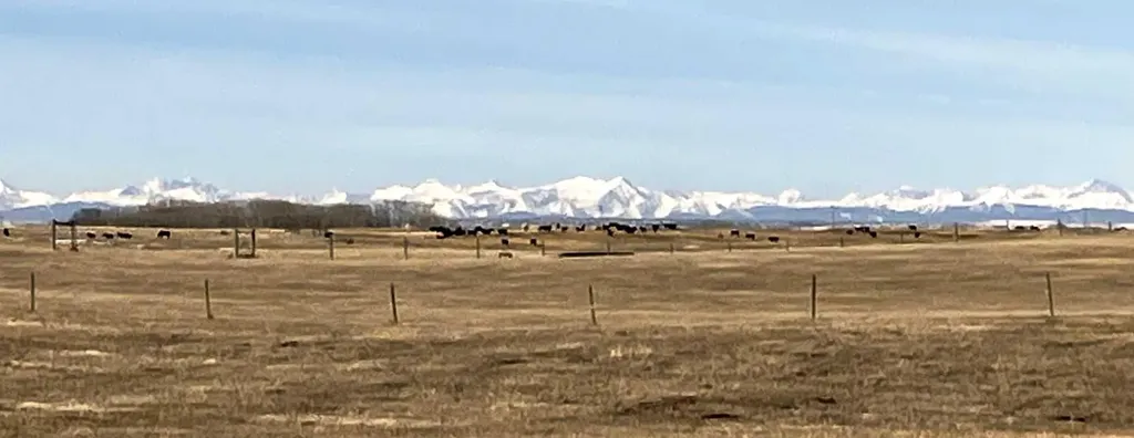78 Acres Township Road 270 Rural Rocky View County AB T4B 2A4