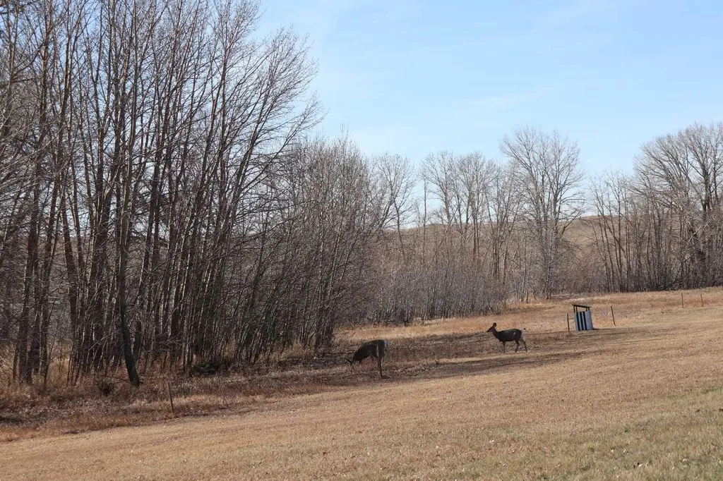 663 Lakeside Drive Rural Vulcan County AB T0L 0R0