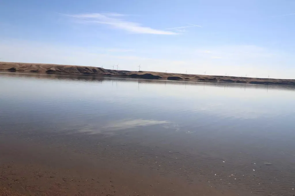 663 Lakeside Drive Rural Vulcan County AB T0L 0R0