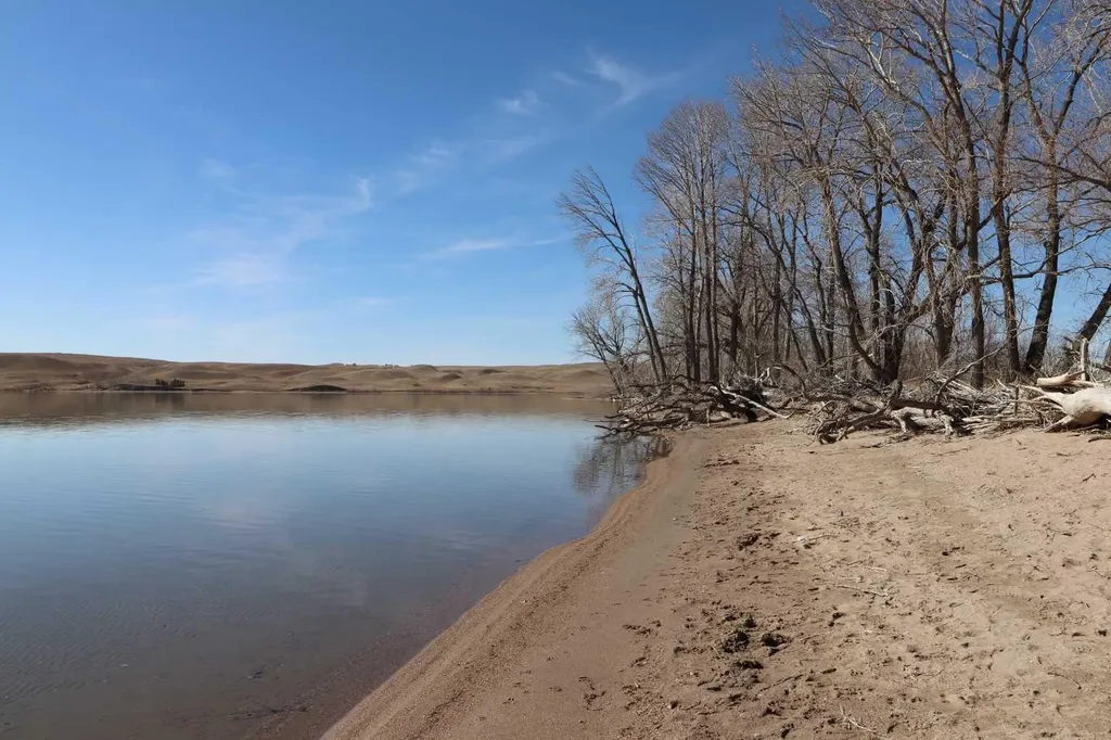 663 Lakeside Drive Rural Vulcan County AB T0L 0R0