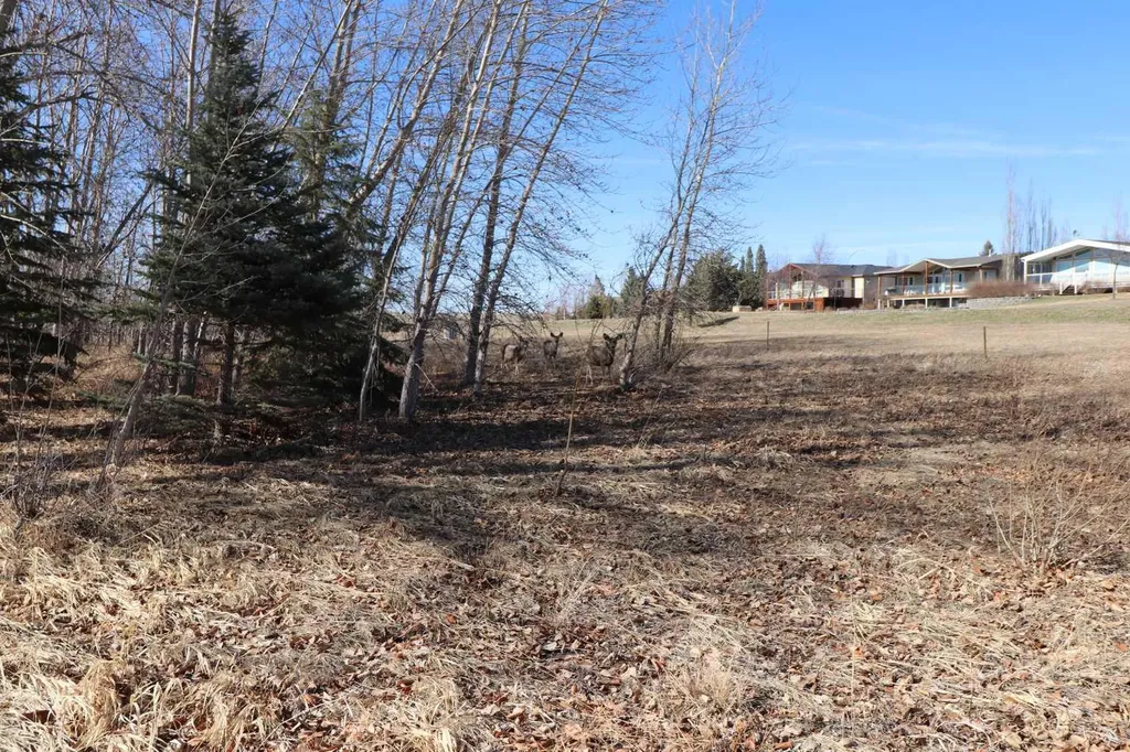 663 Lakeside Drive Rural Vulcan County AB T0L 0R0