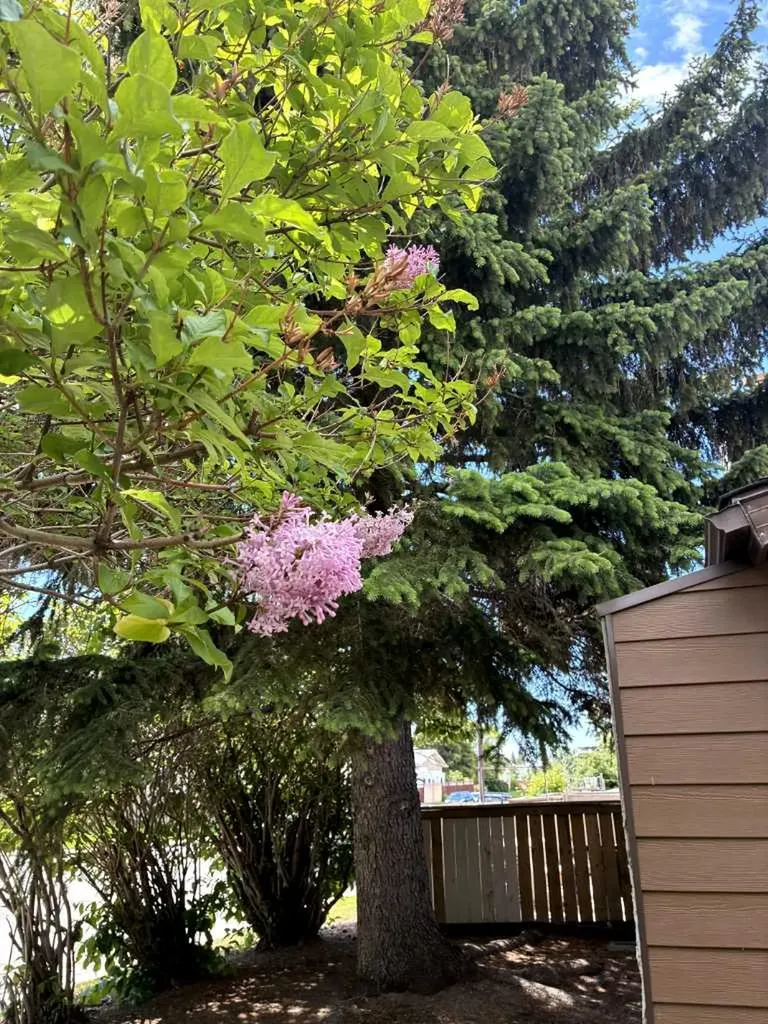 5404 10 Avenue SE Calgary AB T2A 5G4