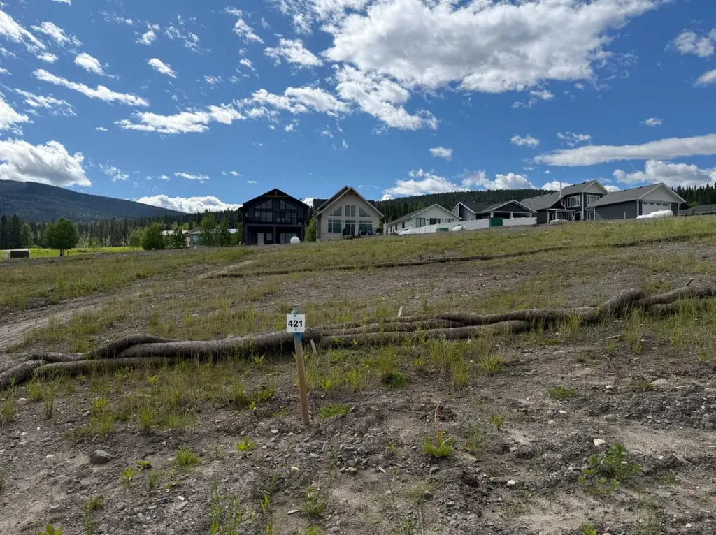 421 Lily Avenue Nordegg AB T0M 2H0