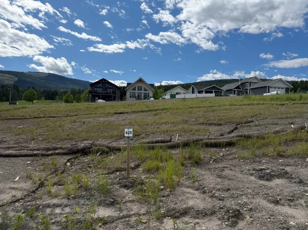 425 Lily Avenue Nordegg AB T0M 2H0